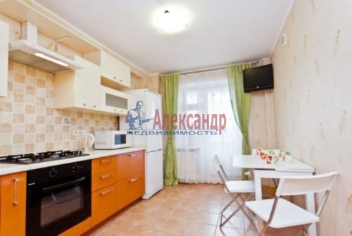 1-комнатная квартира (46м2) в аренду по адресу Савушкина ул., 13— фото 1 из 12