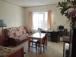 2-комнатная квартира (60м2) на продажу по адресу Пушкин г., Красносельское шос., 55— фото 3 из 32
