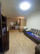 Комната в 36-комнатной квартире (765м2) на продажу по адресу Сестрорецк г., Борисова ул., 9— фото 4 из 12