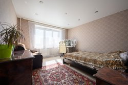 3-комнатная квартира (55м2) на продажу по адресу Шушары пос., Первомайская ул., 3— фото 9 из 42