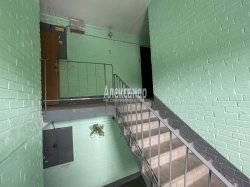 Комната в 3-комнатной квартире (60м2) на продажу по адресу Мурино г., Оборонная ул., 14— фото 11 из 14