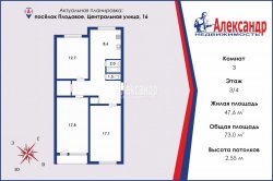 3-комнатная квартира (73м2) на продажу по адресу Плодовое пос., Центральная ул., 16— фото 2 из 22