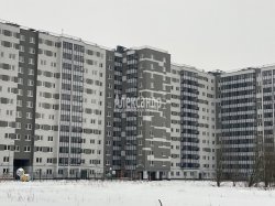 2-комнатная квартира (52м2) на продажу по адресу Пискаревский просп., 165— фото 2 из 10