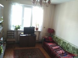 2-комнатная квартира (55м2) на продажу по адресу Ириновский просп., 31/48— фото 4 из 14