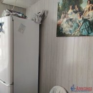 3-комнатная квартира (56м2) на продажу по адресу Петергоф г., Ропшинское шос., 3— фото 9 из 11