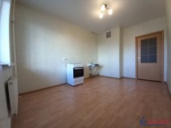 1-комнатная квартира (41м2) на продажу по адресу Шушары пос., Московское шос., 246— фото 3 из 18