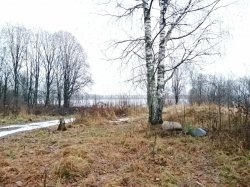 2-комнатная квартира (45м2) на продажу по адресу Партала пос., 1— фото 4 из 40