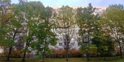 2-комнатная квартира (51м2) на продажу по адресу Подвойского ул., 15— фото 12 из 47