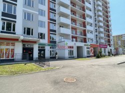 2-комнатная квартира (47м2) на продажу по адресу Шушары пос., Московское шос., 256— фото 23 из 25