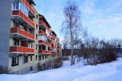 3-комнатная квартира (63м2) на продажу по адресу Советский пос., Дружбы ул., 7— фото 22 из 42