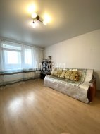 2-комнатная квартира (60м2) на продажу по адресу Шушары пос., Новгородский просп., 4— фото 5 из 39