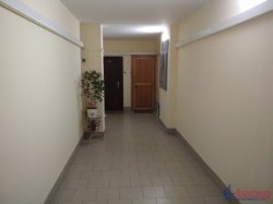 2-комнатная квартира (55м2) на продажу по адресу Ириновский просп., 31/48— фото 10 из 14