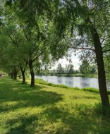 3-комнатная квартира (82м2) на продажу по адресу Учительская ул., 18— фото 34 из 41