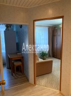 1-комнатная квартира (31м2) на продажу по адресу Селезнево пос., Свекловичный пер., 9— фото 12 из 17