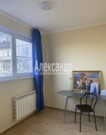3-комнатная квартира (52м2) на продажу по адресу Светлановский просп., 91— фото 7 из 16