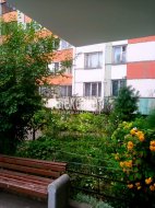 3-комнатная квартира (77м2) на продажу по адресу Дачный просп., 36— фото 17 из 18
