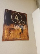 1-комнатная квартира (22м2) на продажу по адресу Сертолово г., Сертолово-2, Мира ул., 9— фото 7 из 11