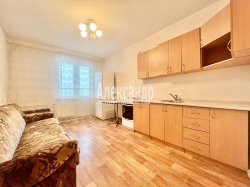 1-комнатная квартира (42м2) на продажу по адресу Муринская дор., 84— фото 14 из 25