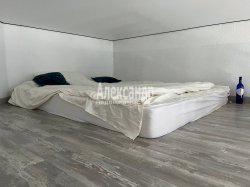 Комната в 9-комнатной квартире (263м2) на продажу по адресу Профессора Попова ул., 26— фото 4 из 13