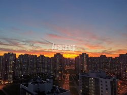 3-комнатная квартира (64м2) на продажу по адресу Мурино г., Екатерининская ул., 8— фото 20 из 24