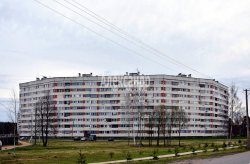 2-комнатная квартира (44м2) на продажу по адресу Приладожский пгт., 3— фото 2 из 9