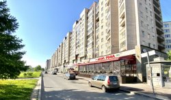 3-комнатная квартира (65м2) на продажу по адресу Большевиков просп., 8— фото 21 из 24