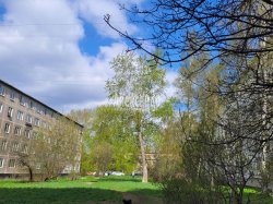 2-комнатная квартира (48м2) на продажу по адресу Народная ул., 16— фото 4 из 23