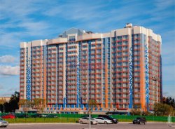 1-комнатная квартира (40м2) на продажу по адресу Московское шос., 8— фото 5 из 6