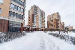 1-комнатная квартира (38м2) на продажу по адресу Новоселье пос., Красносельское шос., 6— фото 22 из 31