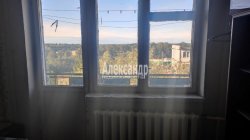 2-комнатная квартира (49м2) на продажу по адресу Оржицы дер., 14— фото 10 из 36