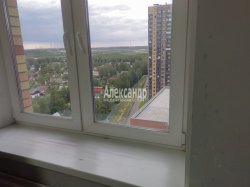 3-комнатная квартира (51м2) на продажу по адресу Парголово пос., Шишкина ул., 303— фото 2 из 15