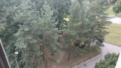 2-комнатная квартира (44м2) на продажу по адресу Сестрорецк г., Мосина ул., 3— фото 10 из 16