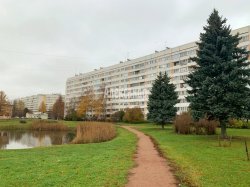 3-комнатная квартира (60м2) на продажу по адресу Ветеранов просп., 129— фото 10 из 15
