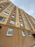 1-комнатная квартира (31м2) на продажу по адресу Шушары пос., Московское шос., 260— фото 19 из 20