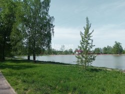3-комнатная квартира (64м2) на продажу по адресу Политрука Пасечника (Торики) ул., 6— фото 22 из 23