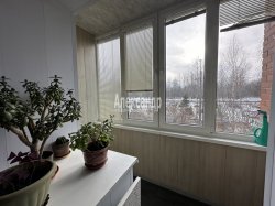 2-комнатная квартира (48м2) на продажу по адресу Петергоф г., Гостилицкое шос., 23— фото 5 из 11