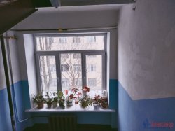 2-комнатная квартира (47м2) на продажу по адресу Каменноостровский просп., 79— фото 11 из 17