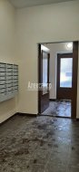 1-комнатная квартира (32м2) на продажу по адресу Ломоносов г., Михайловская ул., 51— фото 35 из 43