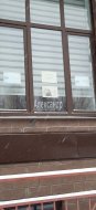1-комнатная квартира (32м2) на продажу по адресу Ломоносов г., Михайловская ул., 51— фото 41 из 43