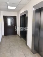 1-комнатная квартира (32м2) на продажу по адресу Ветеранов просп., 171— фото 5 из 12