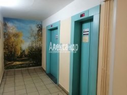 3-комнатная квартира (70м2) на продажу по адресу Дыбенко ул., 13— фото 28 из 37