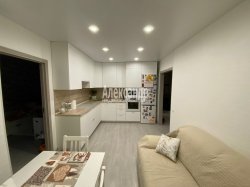 2-комнатная квартира (59м2) на продажу по адресу Парголово пос., Шишкина ул., 311— фото 3 из 46