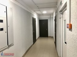 2-комнатная квартира (50м2) на продажу по адресу Кудрово г., Пражская ул., 3— фото 15 из 17