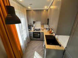 3-комнатная квартира (62м2) на продажу по адресу Большевиков просп., 65— фото 2 из 25