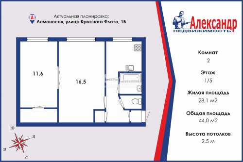 2-комнатная квартира (44м2) на продажу по адресу Ломоносов г., Красного Флота ул., 1Б— фото 1 из 14