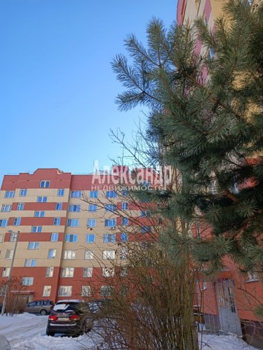 3-комнатная квартира (83м2) на продажу по адресу Бугры пос., Полевая ул., 7— фото 1 из 30