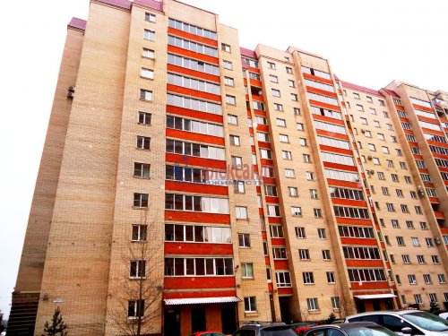 1-комнатная квартира (53м2) на продажу по адресу Белградская ул., 26— фото 1 из 17