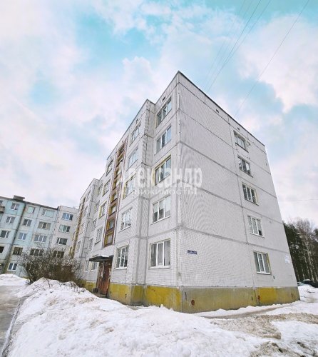 4-комнатная квартира (72м2) на продажу по адресу Каменногорск г., Бумажников ул., 17— фото 1 из 29