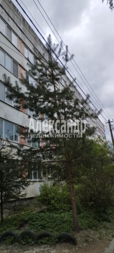 3-комнатная квартира (64м2) на продажу по адресу Щеглово пос., 75— фото 1 из 19