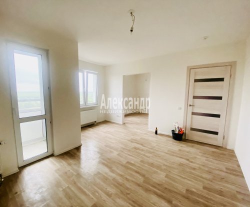 1-комнатная квартира (30м2) на продажу по адресу Муринская дор., 8— фото 1 из 14
